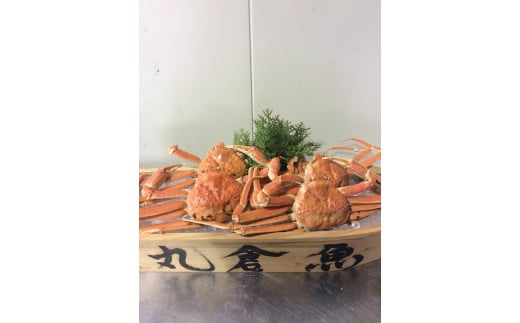 【魚倉】松葉がに ボイル おまかせセット ３kg訳あり｜国産 ズワイガニ 松葉ガニ カニ 蟹 かに ボイル カニ鍋 かに鍋 鍋 かにしゃぶ かにみそ 期間限定 送料無料 鳥取県 三朝町