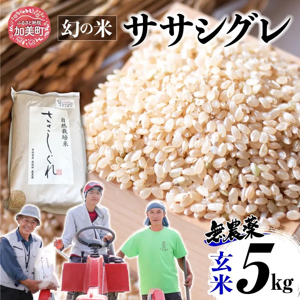 玄米 令和8年産ササシグレ 5kg 玄米