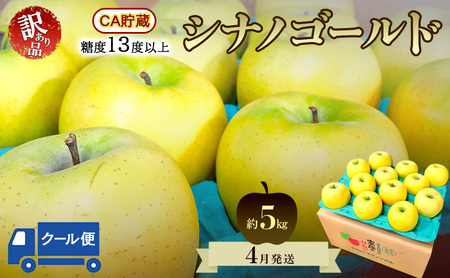りんごシナノゴールド 訳あり家庭用 CA貯蔵青森県産りんご【約5kg】【クール便】