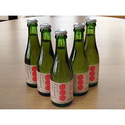 ふるさと納税 深川市 深川産りんご使用果実酒ふかがわシードル飲みきりサイズ5本【中口 200ml×5本セット】