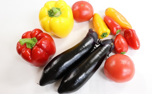 食の都庄内　庄内の夏野菜セット5種ハーフ（ちょっとずつお試し！）※7月上旬～9月下旬配送 [HS4-143(庄内旬青果)] 夏野菜セット5種ハーフ ￥11,000