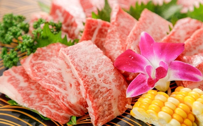 
            GI認証 くまもとあか牛 焼肉 約500g / 霜降り 高品質 あか牛 牛肉 熊本県 菊陽町【菊陽町(阿蘇牧場)】 [BHAZ024]
          