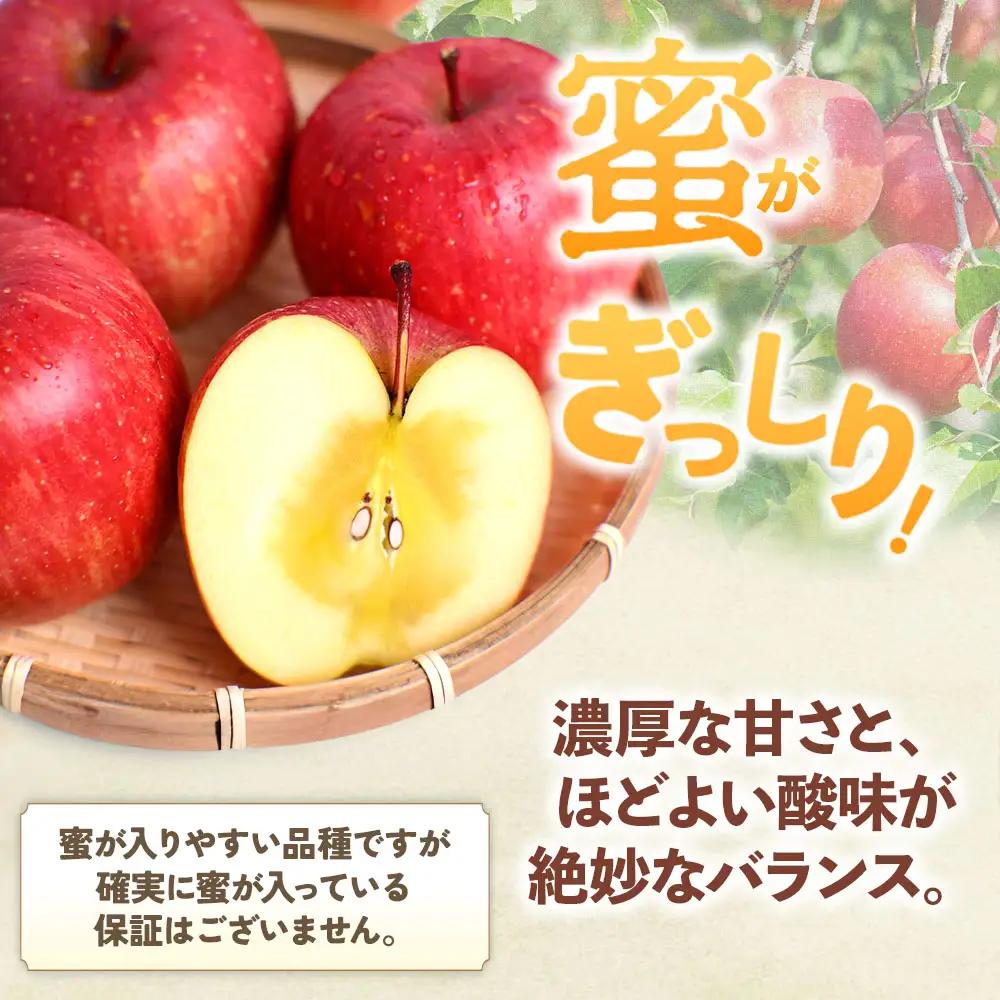 青森県産りんご サンふじ 約3kg 12月中旬～ りんご