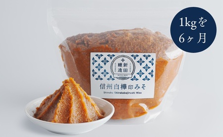 信州みそ 白樺印 味噌 定期便 信州みそ【1kg×6ヶ月】【定期便】