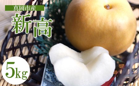 【2024年先行予約】真岡市産 新高 梨 5kg