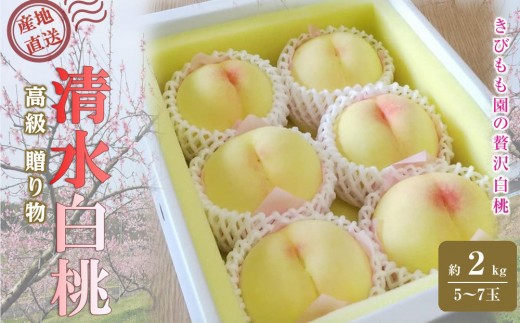 
                  桃 2026年 贈答用 岡山 清水 白桃  約2kg（5～7玉） 【白桃 桃 モモ 岡山県 岡山市産 国産 フルーツ 果物 ギフト 新鮮 おすすめ 人気 贈答品】
                
