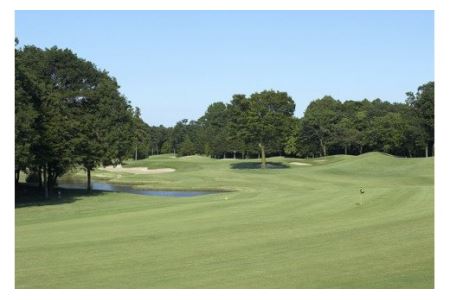 No.170 猿島カントリー倶楽部利用券90000円