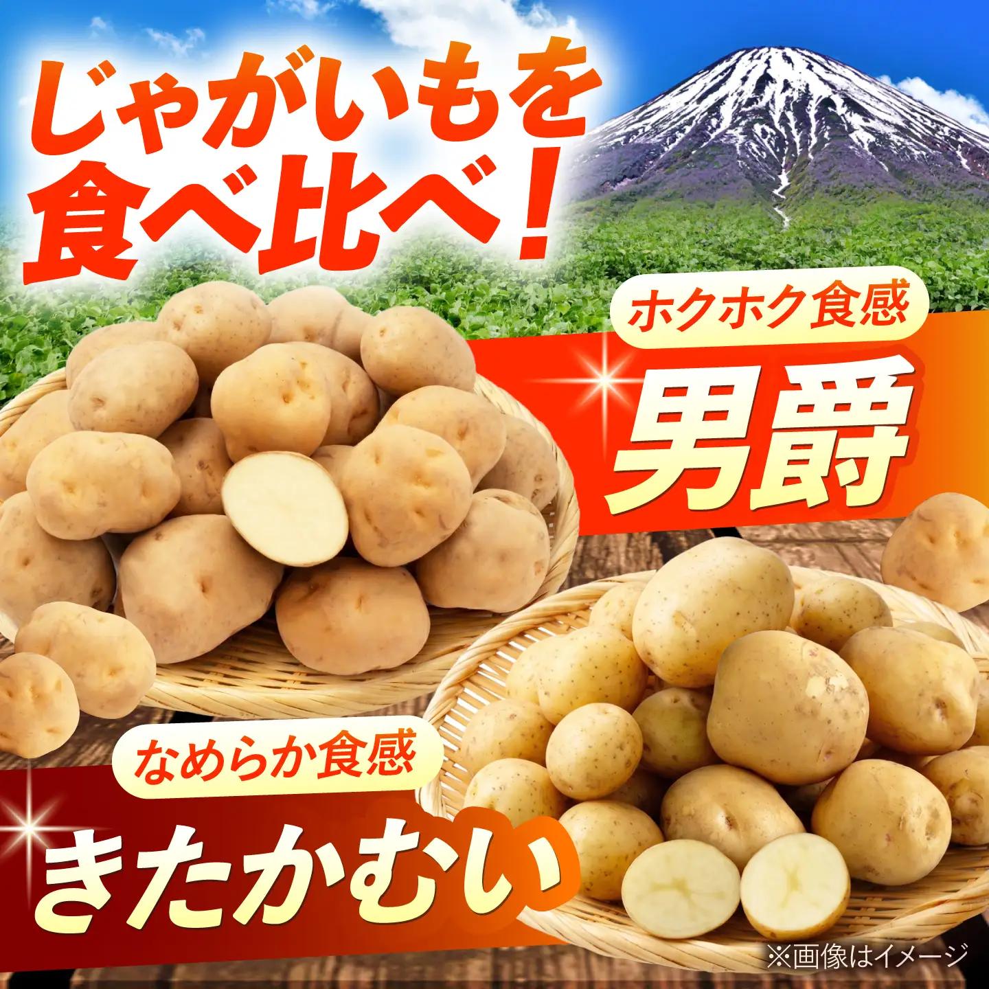 【2027年1月上旬以降順次発送】 じゃがいも 食べ比べセット（男爵・きたかむい）計10kg （5kg×2種） | じゃがいも ジャガイモ 男爵芋 きたかむい 北海道 産地直送 セット 先行予約 | 