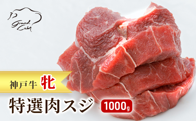 
神戸ビーフ 神戸牛 牝 特選肉スジ（角切りカレー煮込み用）大容量 1000g 1kg 川岸畜産 煮込み おでん カレー 冷凍 肉 牛肉
