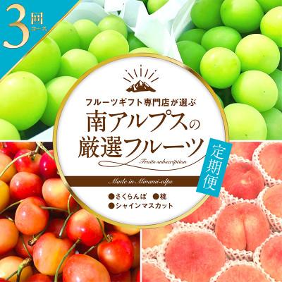 ふるさと納税 南アルプス市 【発送月固定定期便】フルーツギフト専門店が選ぶ南アルプスの厳選フルーツ定期便　全3品種S全3回