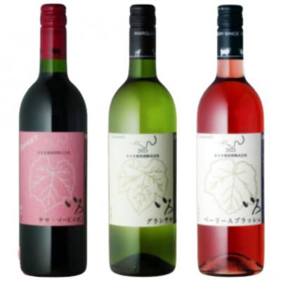 ふるさと納税 甲州市 まるき【いろシリーズ】 いろヤマ・ソービニオン いろグラン甲州 いろベーリーAブラッシュC-1668