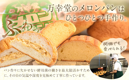 【6ヶ月定期便】パン メロンパン 冷凍 プレーン 12個 手土産 おすそ分け スイーツ パン ギフト 菓子パン 万幸堂 《お申し込み月の翌月から出荷開始》熊本県 荒尾市 送料無料 ベーカリー おやつ 