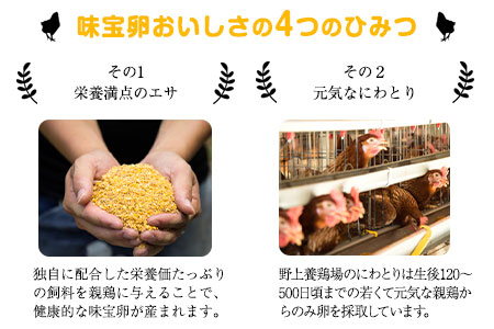 朝獲れ卵 味宝卵 (80個) 卵 Lサイズ 鶏卵 野上養鶏場《90日以内に出荷予定(土日祝除く)》