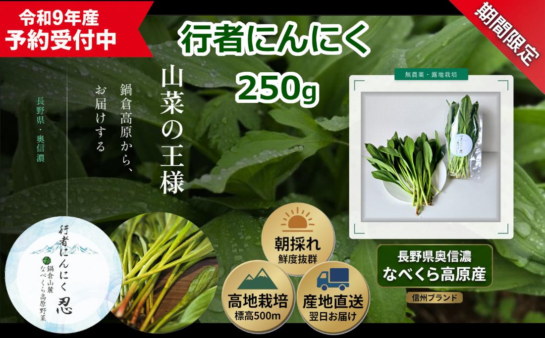 【令和9年産先行予約】行者にんにく 忍 250ｇ入り　1箱(35枚～40枚)《出荷時期：2027年5月中旬頃〜》株式会社ForestDoor (Ce-011)