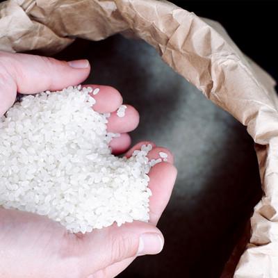 ふるさと納税 七尾市 能登島のふるさと米　コシヒカリ5kg　精米 |  | 02