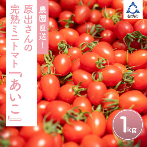 農園直送！原出さんの完熟ミニトマト（あいこ）1kg