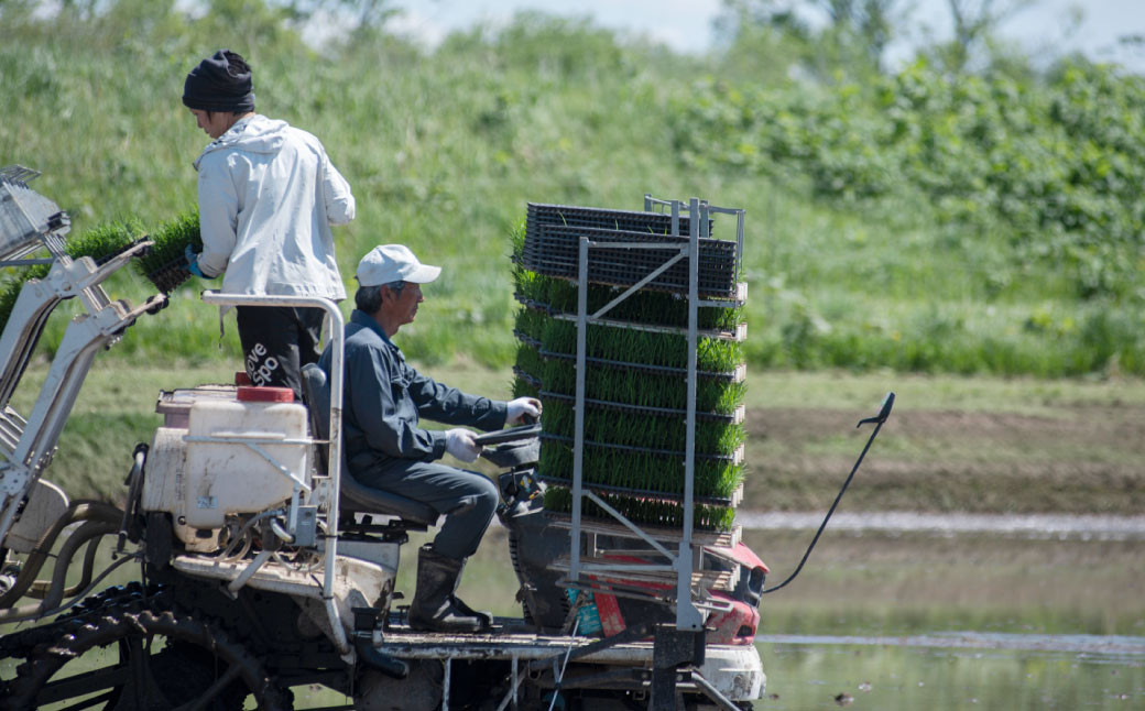 【4ヶ月定期便】北海道産 特別栽培米ゆめぴりか（玄米） 5kg×4回 合計20kg