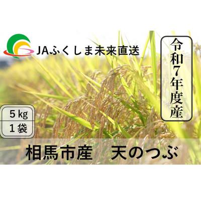 ふるさと納税 相馬市 令和7年度産 JAふくしま未来　福島県産『天のつぶ』5kg