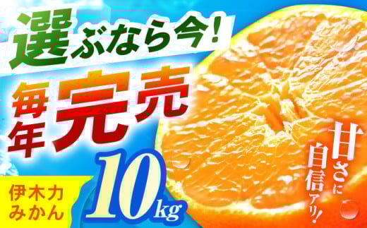※【2025年10月より順次発送／先行予約】《伊木力みかん》家庭用みかん 10kg / みかん ミカン 蜜柑 フルーツ ふるーつ 果物 くだもの いきりき / 諫早市 / 山野果樹園 [AHCF001]
