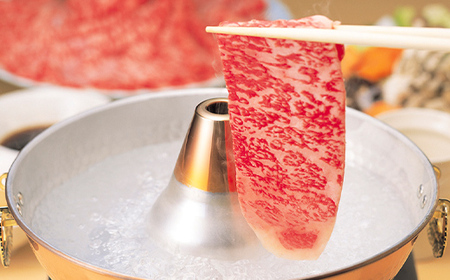 「A4等級以上 飛騨牛 肩ロース」 500g 250g×2パック 和牛 ブランド牛 飛騨牛 小分け 大容量 冷凍でお届け しゃぶしゃぶ すき焼き カタロース スライス 肉のひぐち F6M-326