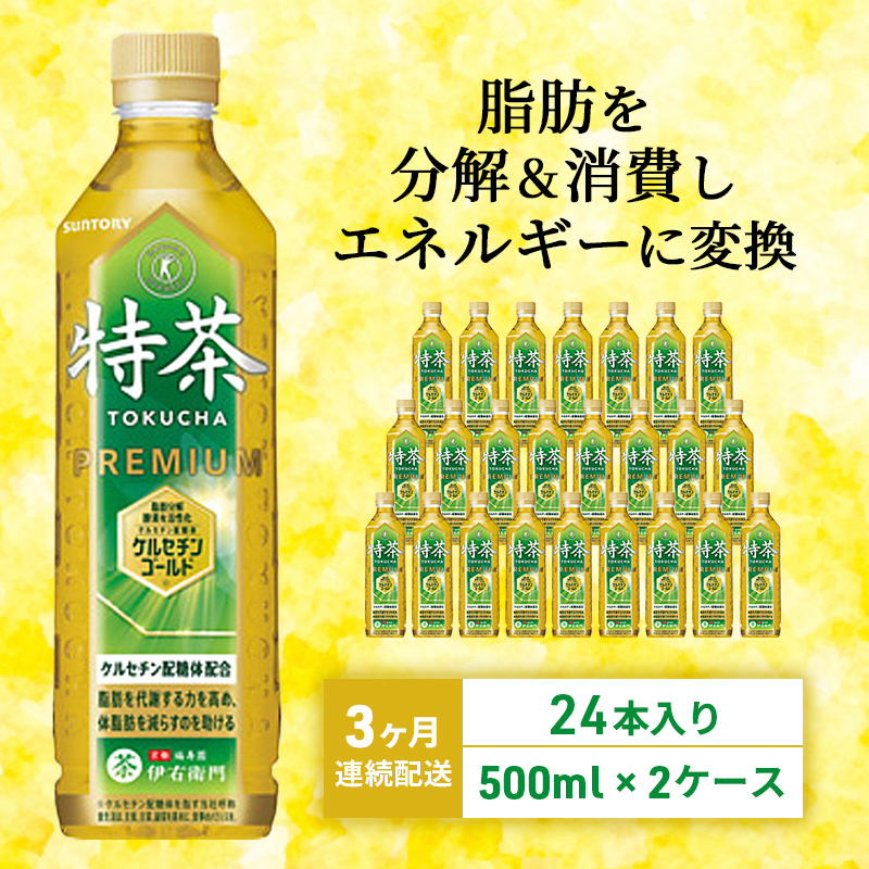 定期便 3ヵ月 伊右衛門 特茶TOKUCHA 伊右衛門（特定保健用食品）500mlペット 2箱 48本