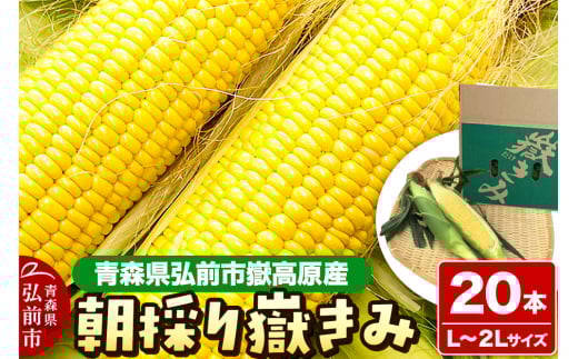 とうもろこし 朝採り嶽きみ 20本（L～２Lサイズ）【弘前市嶽高原産・とうもろこし 野菜 】