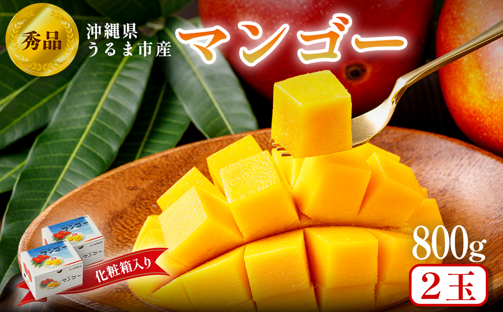 沖縄県 うるま市産 完熟 マンゴー 秀品 約800g【2026年発送】