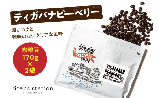 Tigapanah Peaberry　ティガバナピ―ベリー　珈琲豆170ｇ×2袋セット