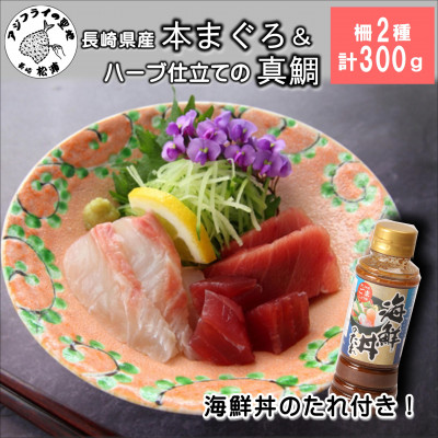 海鮮丼のたれ付!長崎県産本まぐろ＆ハーブ仕立ての真鯛　柵セット2種300g【配送不可地域：離島・沖縄】【1429230】