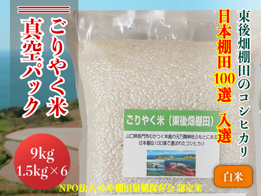 (1350)【令和6年度産先行予約】お米 米 こめ 白米 白米真空パック こしひかり コシヒカリ 精米 9㎏ ごりやく米 「東後畑棚田こしひかり」 白米9㎏ (白米真空パック1.5㎏×6個) 真空パック 真空 おにぎり 棚田 棚田米 長門市 小分け