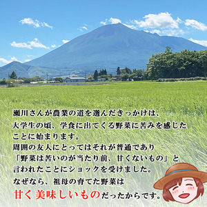 【2024年11月発送開始】 岩手県産 天日干しもち米 ひめのもち 精米 もち一升分（1.5kg） ／ 白米 餅 餅米 産地直送 農家直送 【せの畑】