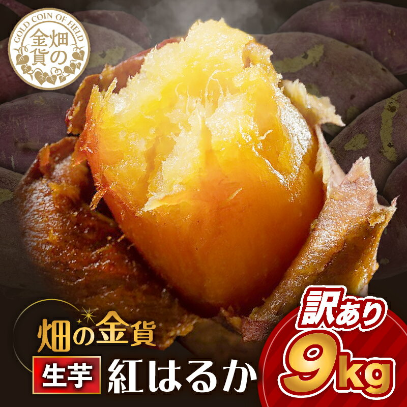 【ふるさと納税】 畑の金貨 生芋 訳あり 紅はるか 9kg わけあり 限定 規格外 野菜 さつまいも さつま芋 芋 焼き芋 スイーツ スイートポテト 大学芋 料理 大容量 産地直送 熟成 甘いも 甘芋 加治木産業 鹿児島 おすすめ ランキング プレゼント ギフト 敬老の日 Z