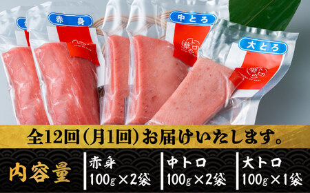 【全12回定期便】対馬産 本マグロ 500g（赤身200g、中トロ200g、大トロ100g）≪対馬市≫【桐谷商店】 トロの華 対馬 新鮮 マグロ 大トロ 鮪 刺身 鮮度抜群[WAQ058]