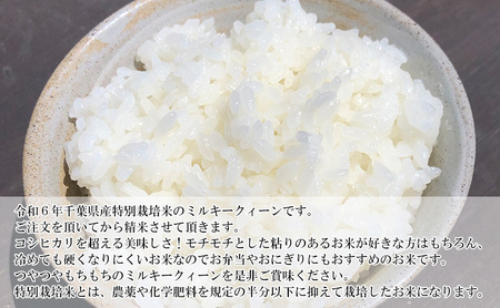 新米　令和7年 ミルキークイーン 乾式無洗米 5kg 特別栽培米【お米 粘り もっちり おにぎり お弁当】 千葉県 