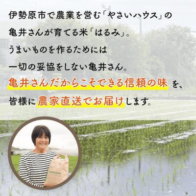 ふるさと納税 伊勢原市 【先行予約】[令和8年産] 伊勢原産 精米 10kg はるみ 農家直送!亀井さんちのうんめぇ米 |  | 01