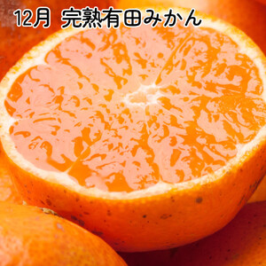 厳選 柑橘定期便SS（10～12月）全3回【みかん定期便お試し版】［IKE284］