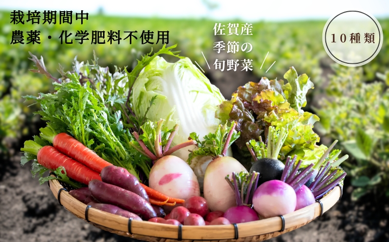 【農福連携】佐賀産季節の旬野菜10種類（栽培期間中農薬・化学肥料不使用）：B120-036 10種類