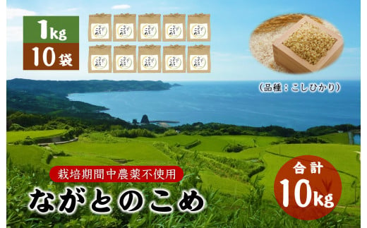 ながとのこめ こしひかり 玄米 1kg×10袋 合計10kg コシヒカリ 小分け 長門市 令和6年度産