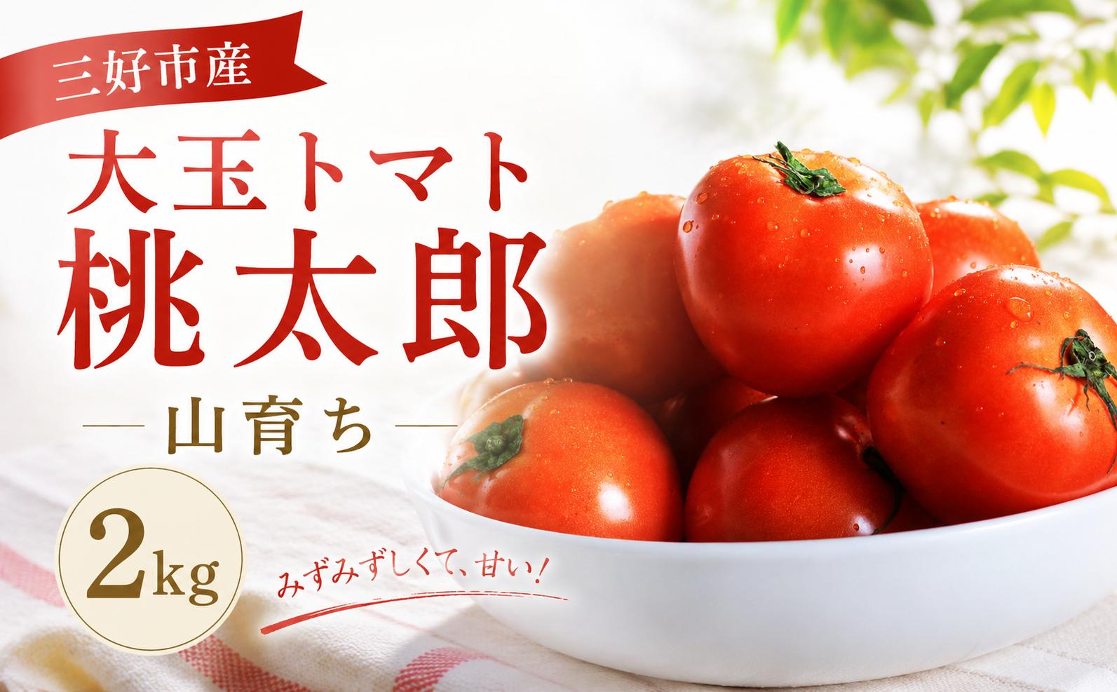 
                  【 7月より順次発送 】 トマト 2kg 高糖度 大玉トマト 10 ～ 15玉 桃太郎 新鮮 旬 季節 贈り物 ギフト 贈答 プレゼント 野菜 御弁当 おかず サラダ トマトジュース tomato 徳島県 三好市 みよし 三好野呂内野菜生産加工組合
                