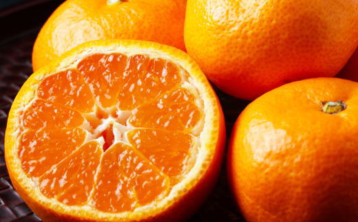 【高糖系】貯蔵越冬丹生系みかん約5kg（S～Lサイズおまかせ）★2025年2月下旬頃より順次発送