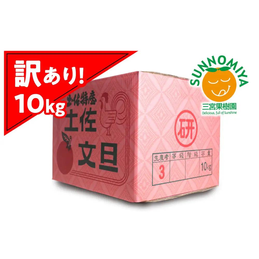 【先行予約】三宮果樹園の土佐文旦 訳あり 10kg〈2027年2月14日から2027年3月15日発送〉高知県 土佐市【三宮果樹園】[BQAP004]
