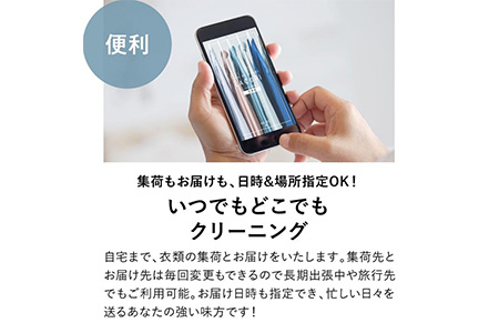 【定期便】クリーニング 詰め放題　月4回コース 1年分（48回利用分）｜最短４日仕上げ　シミ抜き　ボタン付け　毛玉取り　ラクリ　lacuri  ※北海道、沖縄及び離島不可 ※着日指定不可