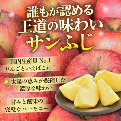 【11月から順次発送!】青森県産りんご サンふじ 約5kg おもてなし用 平均糖度13度以上!【配送不可地域：離島・沖縄県】
