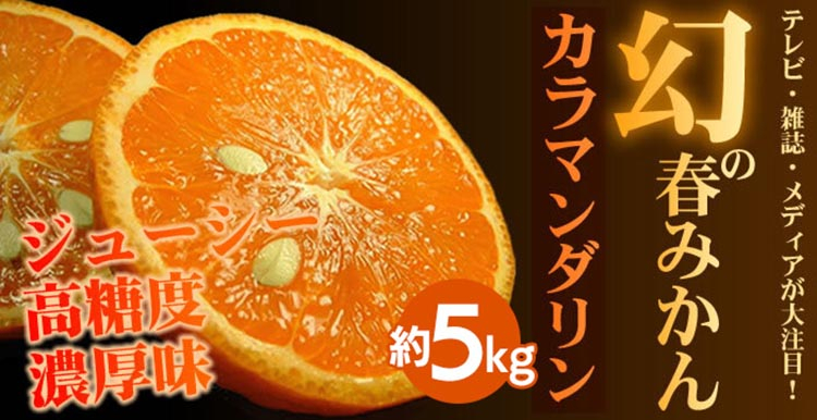 
                  カラマンダリン[約5kg] 和歌山県有田産 春みかん 【果実サイズおまかせ】｜和歌山県産 柑橘 フルーツ 紀伊国屋文左衛門本舗
                