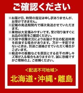 フルーツ 定期便 ニューピオーネ シャインマスカット 梨 先行予約 定期便3回コース 岡山のフルーツ ニューピオーネ 2房 (1房600g以上) シャインマスカット 晴王 2房 (1房600g以上) 