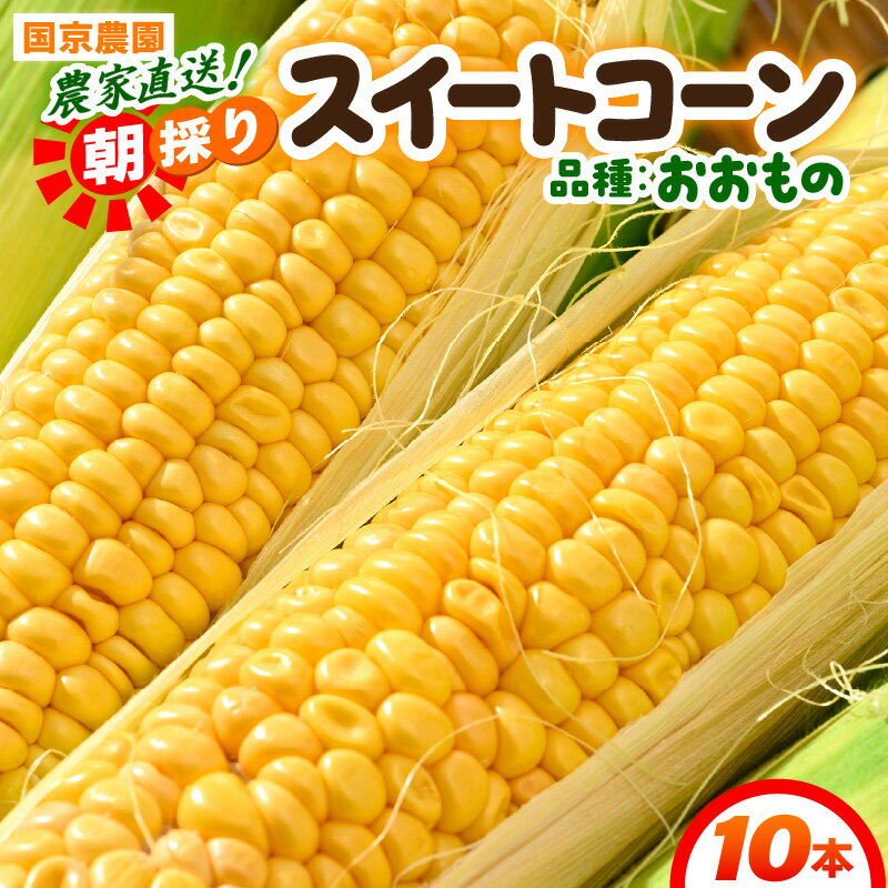 【ふるさと納税】 【先行予約】朝採れ スイートコーン 10本入り おおもの ／ とうもろこし 甘い 野菜 黄色 低農薬 有機肥料 ※2025年10月上旬より順次発送