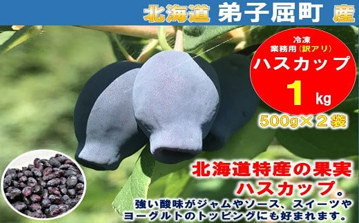 
1354.北海道特産の果実ハスカップ、業務用(訳あり)１ｋｇ
