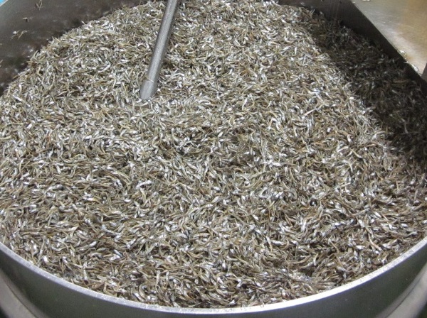 無添加 アーモンドフィッシュ 給食 250g×1袋【栄養機能食品】人気 カルシウム 小魚 おやつ おつまみ おすすめ 大容量 瀬戸内海産 かたくちいわし 美味しい おいしい 阿川食品株式会社 | A1