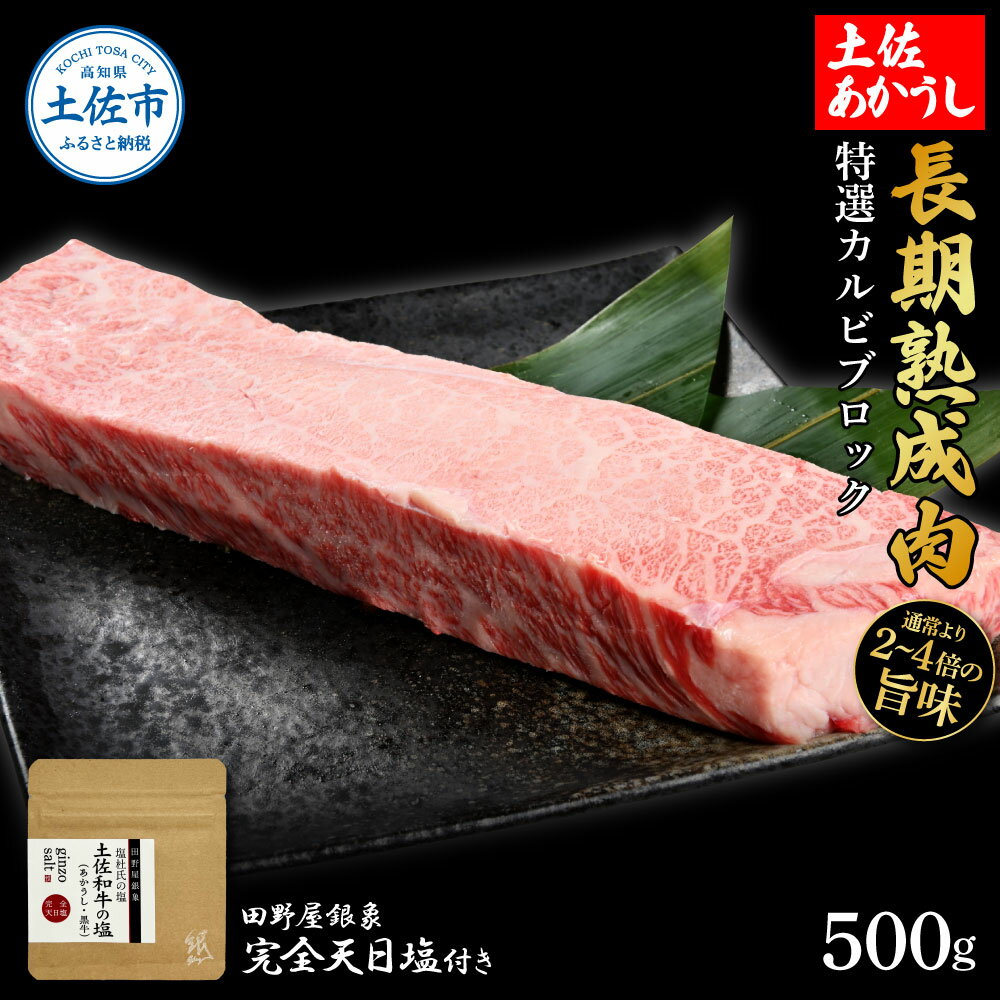 【ふるさと納税】特選 カルビブロック 土佐あかうし 長期熟成肉 500g 田野屋銀象 完全天日塩付き カルビ 牛肉 ブロック 肉 お肉 和牛 国産 牛 熟成肉 ブロック肉 豪華 贅沢 高知県 土佐市 こうち 返礼品