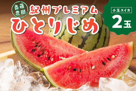 【0251-4】紀州プレミアムひとりじめ（小玉スイカ） 2玉3.5kg程度≪先行予約2026年6月初旬以降発送分≫